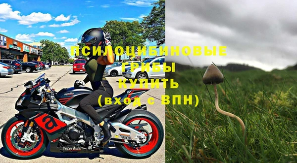 ГАЛЛЮЦИНОГЕННЫЕ ГРИБЫ Красноперекопск
