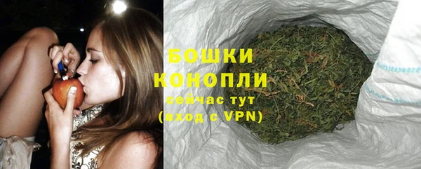 мдпв Костерёво
