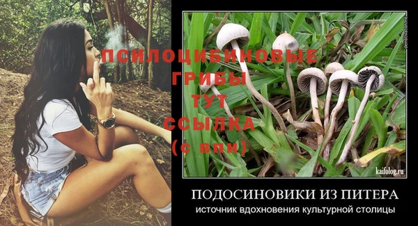 ECSTASY Краснослободск