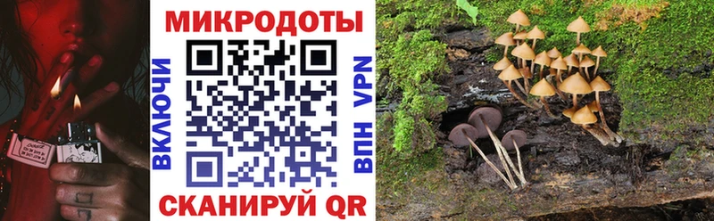 Галлюциногенные грибы Psilocybine cubensis  Краснокамск 