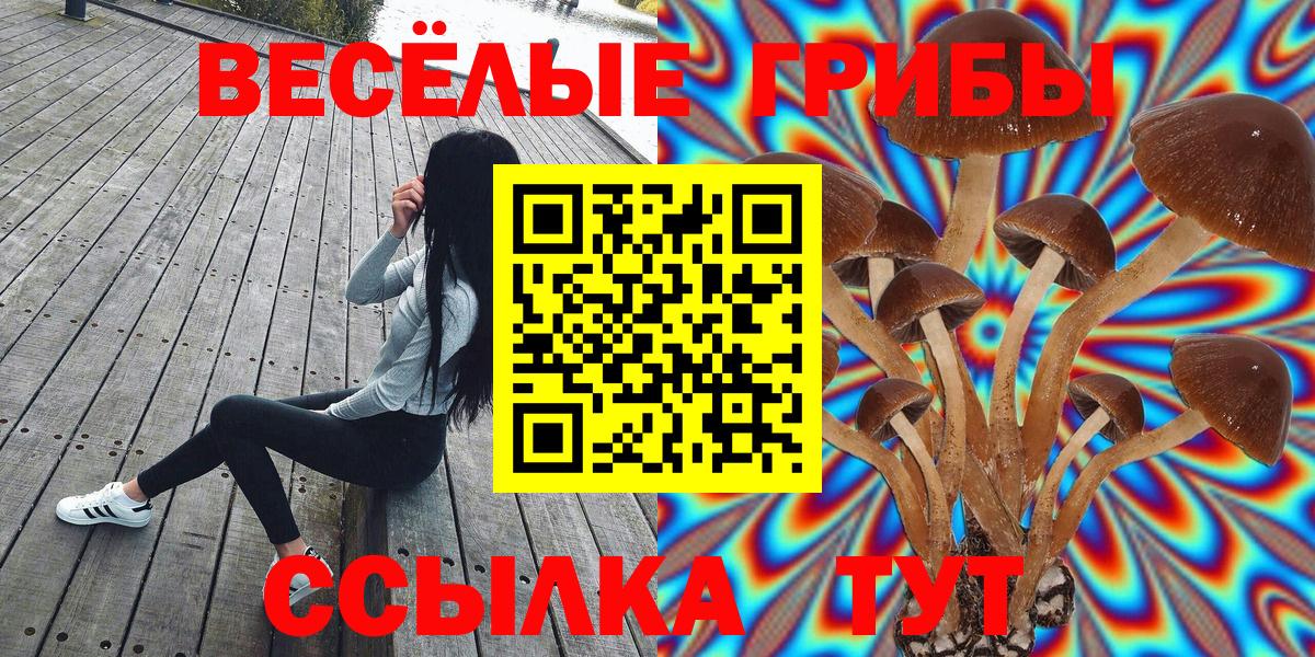 Галлюциногенные грибы мухоморы  Псилоцибиновые грибы MAGIC MUSHROOMS  Краснокамск  Вход с VPN 